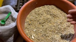 2-Трикальций фосфат в кромке кур несушек//