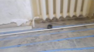 тёплые водяные полы (укладка 16 трубы в штробу на клипсы)