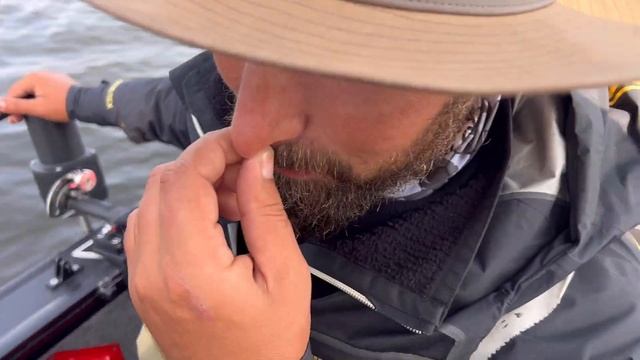 PAL 2023 судак, щука, грибы- complete смотреть онлайн