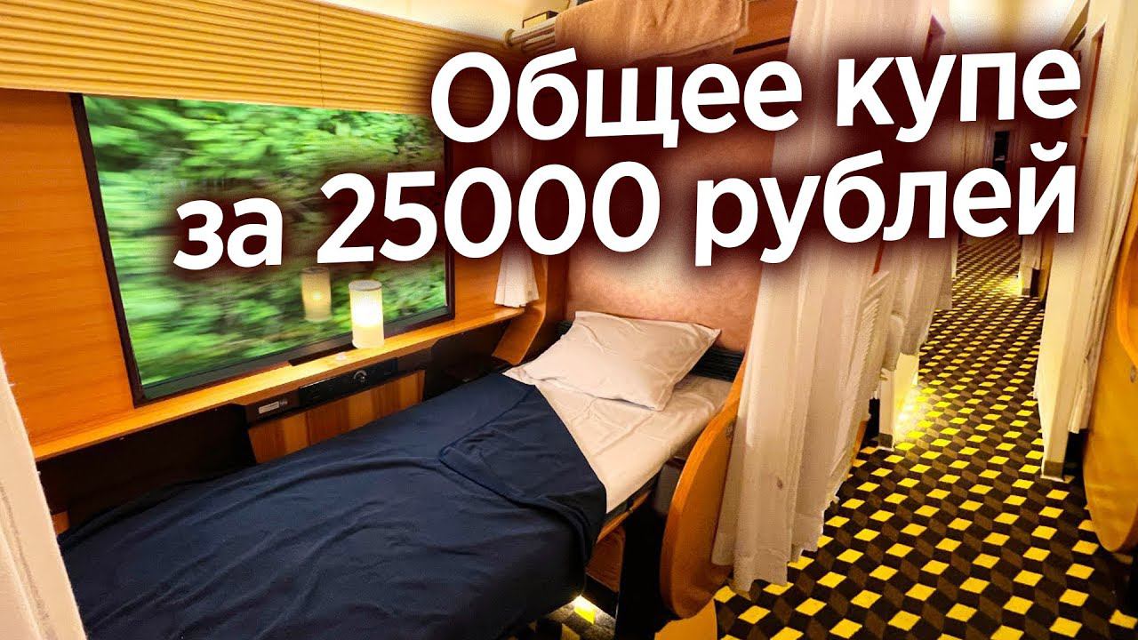 ПОЕЗДКА ПЕРВЫМ КЛАССОМ В ПОЕЗДЕ ДОРОГО В ЯПОНИИ смотреть онлайн