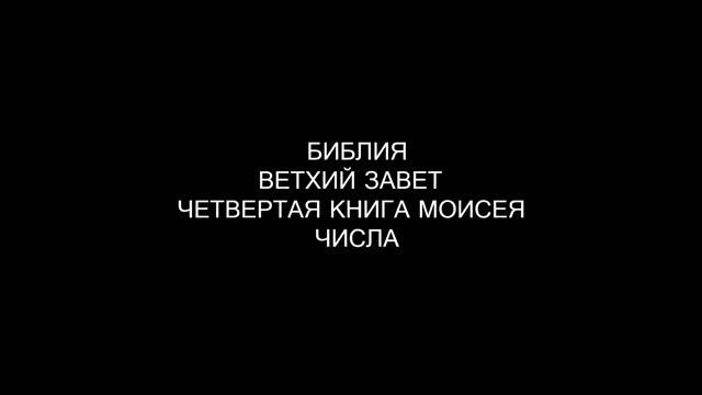 4.1 БИБЛИЯ ВЕТХИЙ ЗАВЕТ ЧЕТВЕРТАЯ КНИГА МОИСЕЯ ЧИСЛА смотреть онлайн