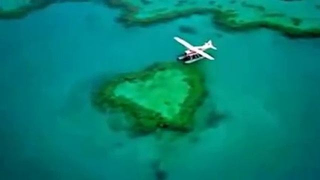 Возможно+лучшая+работа+в+мире+—+смотритель+острова+Гамильтон+Австралия смотреть онлайн