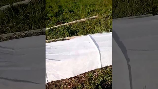 Промежуточный результат, 13 апреля смотреть онлайн