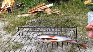 ИДЕАЛЬНО! От засола, до копченья. Вкусная рыба, а не соль. Обзор коптильни холодного копчения.