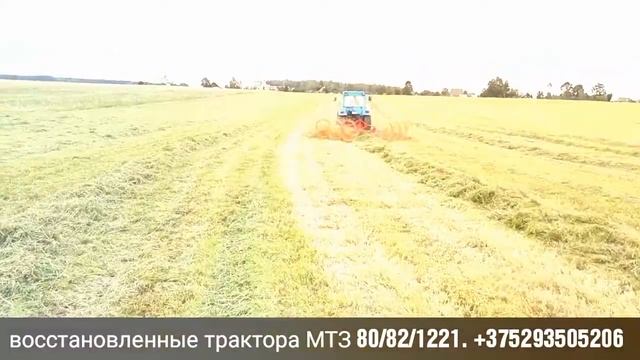 Летнее кормление КРС при помощи тракторов МТЗ 80/82/1221 после капитального ремонта смотреть онлайн