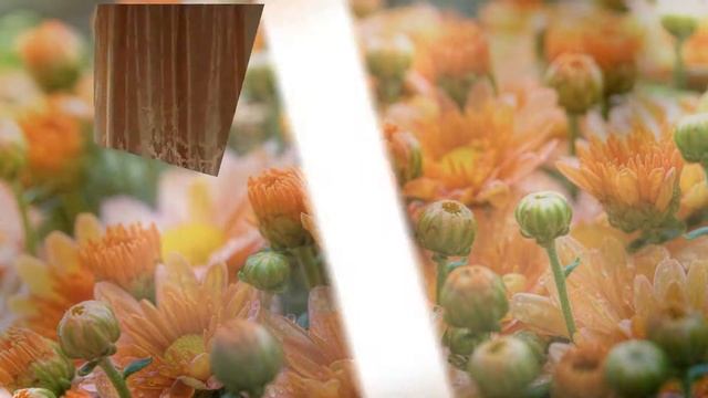 юбилей 60 лет для любимой мамы смотреть онлайн