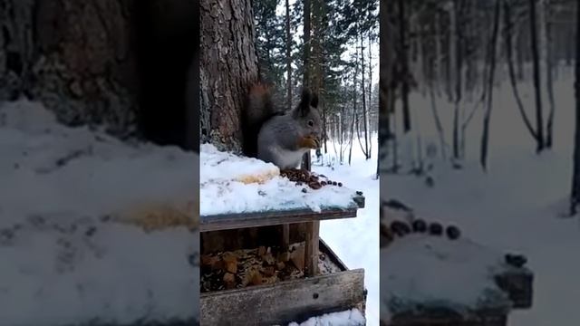 https://m.facebook.com/story.php?story_fbid=2073710592645643&id=100000201684123 #СтатусГид. смотреть онлайн