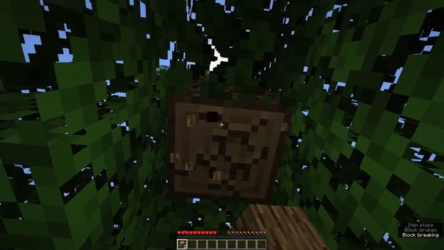 Minecraft: The Island - A Book Review смотреть онлайн