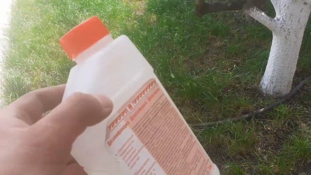 Как очистить воду в бассейне на даче Средство дезинфицирующее БИОПАГ - Д как собрать басейн Intex смотреть онлайн