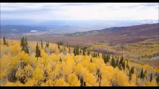 "Обратная сторона души" Стих "Откровение Дон-Кихота" Автор Дмитрий Ясенецкий. Читает автор. смотреть онлайн