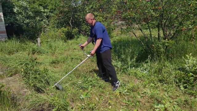 Мотокоса Winzor CLB 15223 л.с в работе Тест-Покос Звоните заказывайте по лучшей цене  Украин