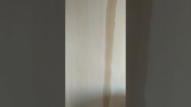 Нет кровли! Испорченный ремонт! смотреть онлайн