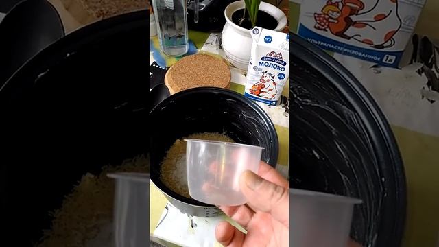 Мастер-Классы по Рукоделию и Творчеству