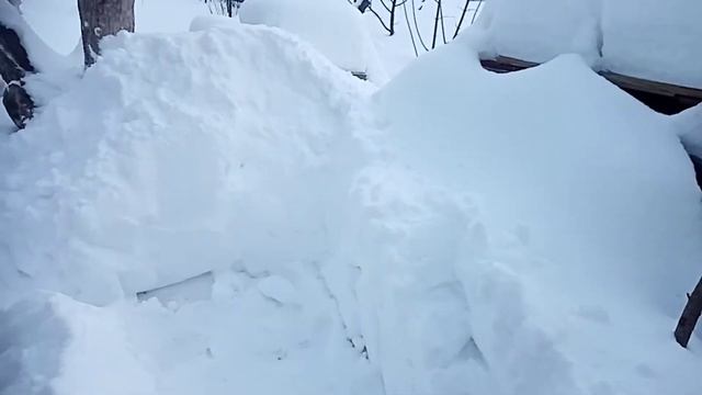 16.01.22 СНЕГ ЛЕТИТ, СНЕГ КРУЖИТСЯ... смотреть онлайн