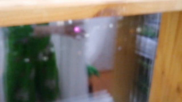 ПОлка для рассады. Как легко и просто можно сделать полку. смотреть онлайн