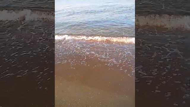 Черное море 6 го августа 2018 года, утро смотреть онлайн