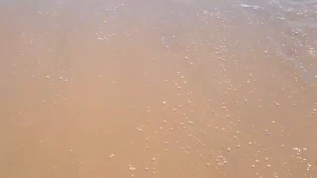 Вьетнам 2013 кокос смотреть онлайн