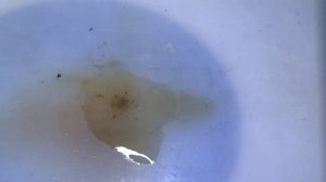 Как паять микросхемы BGA. На примере iPhone 7. Курсы пайки плат телефонов. Обучение диагностики.