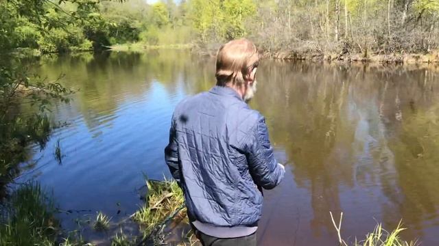 Рыбалка с детьми: ЛОВЛЯ УКЛЕЙКИ на маховую удочку на реке Сестра смотреть онлайн