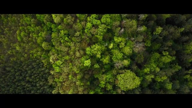 ТОП ЧЕХИЯ: Karlstejn | Vyhlidka Maj | Slapska Prehrada