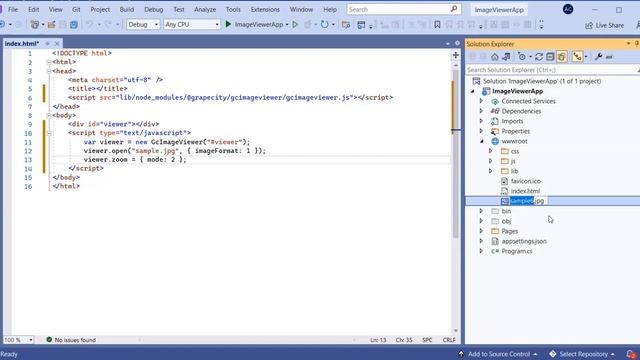 Adding a JavaScript Image Viewer Component to an ASP.NET Core Web Application смотреть онлайн