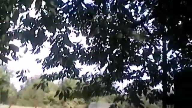 Мир живой природы смотреть онлайн