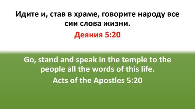 Библия для детей, Новый Завет. Деяния 5:20 смотреть онлайн