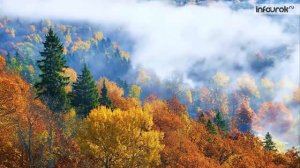 Музыка 1 класс 5 урок. Критская. Музыка осени.