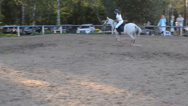 Соревнование по конкуру Татьяна выступает на Букве (horse jumping) смотреть онлайн