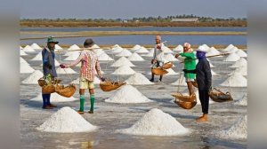 Почему В Древности Соль Была Такой Дорогой