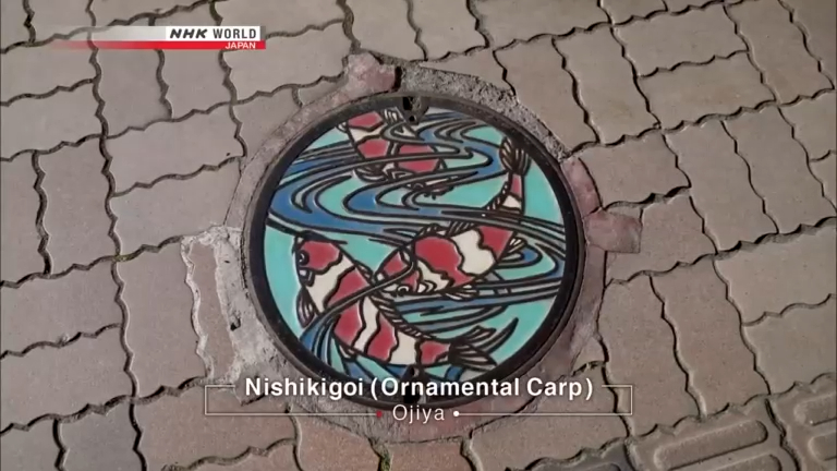 NHK World-Nishikigoi Rainspotters 鯉
