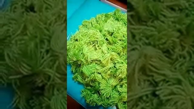 Magic carpets / волшебный ковёр смотреть онлайн