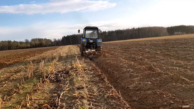 МТЗ 80.1 ДЕЛАЕТ ВЕЩЩИ!!! - Леху не остановить ! КУН Большая Земля с гидровилами на кургане. смотреть онлайн