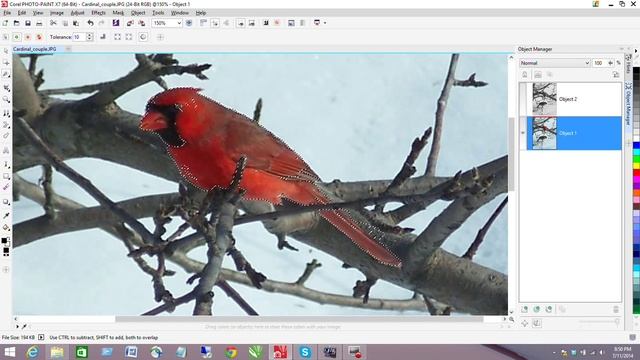 Corel PHOTO-PAINT X7 - How to keep only part of an image/photo in color смотреть онлайн