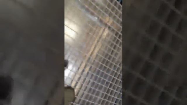 Активный пол к существующей покрасочной камере. смотреть онлайн
