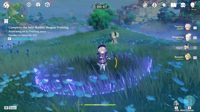 How to Complete Yae Anti Raiden Shogun Training смотреть онлайн