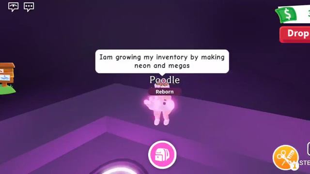 Making neon poodle|new pet bloodhound secret|ByBellaPlayz♡ смотреть онлайн