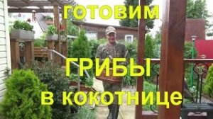 23 ГРИБЫ ИЗ ЛЕСУ -  В КОКОТНИЦУ! готовим чудо-блюдо!