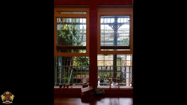 Коста Рика Сан Хосе Cafe Rojo 1 смотреть онлайн