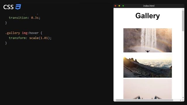Build A Javascript Gallery & Lightbox from Scratch | Quick Tutorial смотреть онлайн