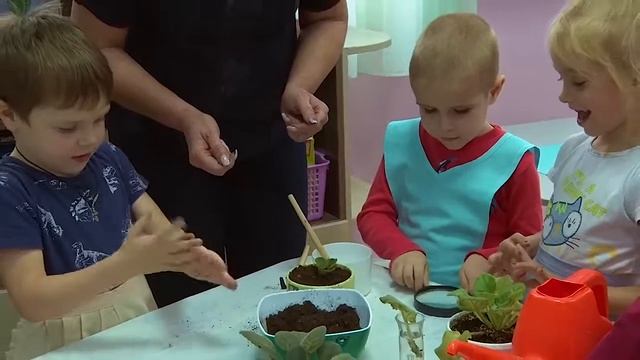 Самообразование педагогов смотреть онлайн