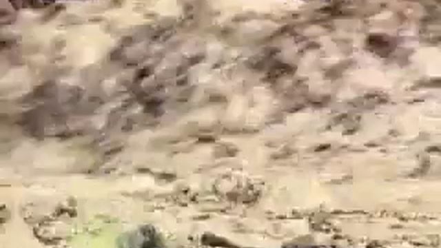 Сель. смотреть онлайн