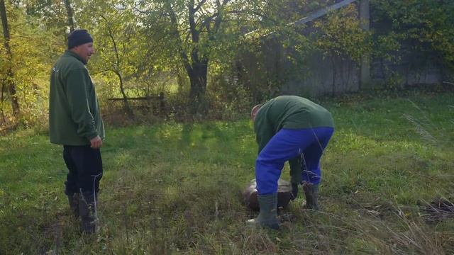 Co wykopie Jarek w Plutyczach Jak idzie przebudowa domu u Gienka I Andrzeja Rolnicy z Podlasia смотреть онлайн