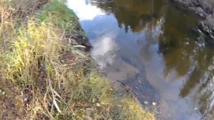 Установка капкана на выдру