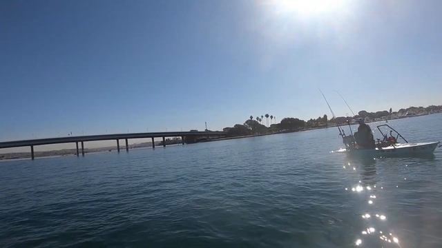 Nickfish contest winner and local YouTuber "SD Fish and Sips" смотреть онлайн