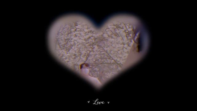Он/она напишет тебе сразу после прослушивания💌 || #саблиминал смотреть онлайн