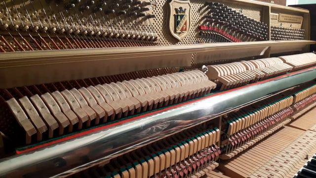 gamma piano смотреть онлайн