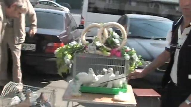 Алкаш продает у ЗАГСа голубей смотреть онлайн
