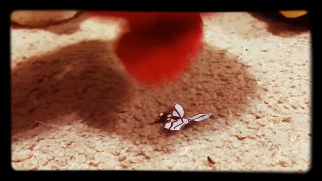 Angry Birds Classic Series: Original Cinematic Trailer смотреть онлайн