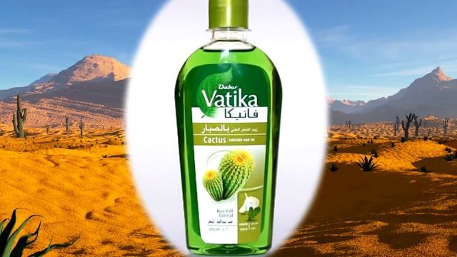 10 интересных фактов про кактусы. смотреть онлайн